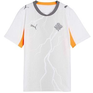Puma Childrens/Kids World Cup 2026 Iceland Away Shirt / White/Gray